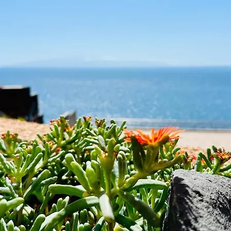 Serigor Bahia Ocean View *